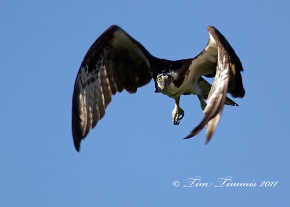 0734_Indiana_Trip_05242011-2