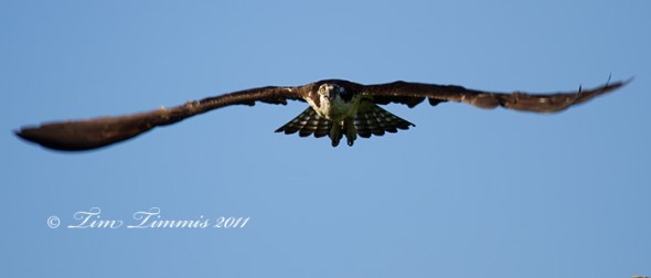 0736_Indiana_Trip_05242011-2