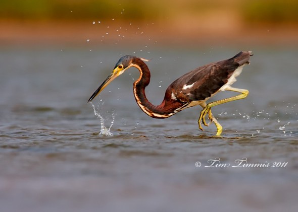 0684_Bryan Beach_05012011-2