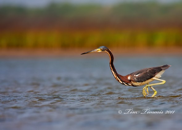 0690_Bryan Beach_05012011-2