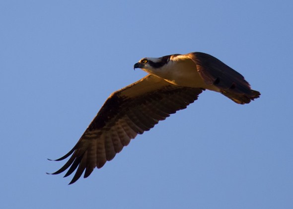 0294_Indiana Trip_06232012-2