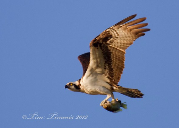 1508_Indiana Trip_06262012-2