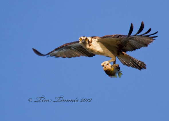 1544_Indiana Trip_06262012-2