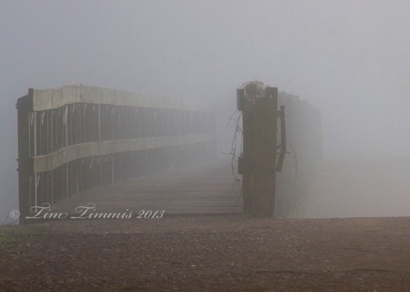 Brazos Bend_08301202013-2