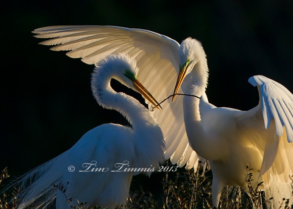 High Island_04403022013-2