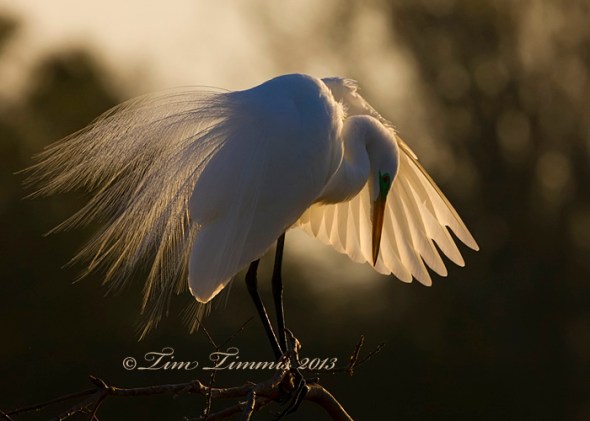 High Island_27203162013-2