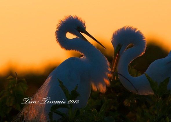High Island_11605052013-2