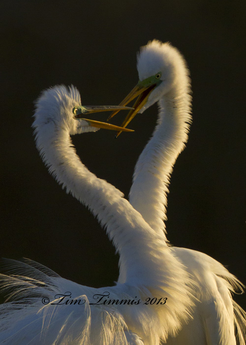 High Island_23803162013-2