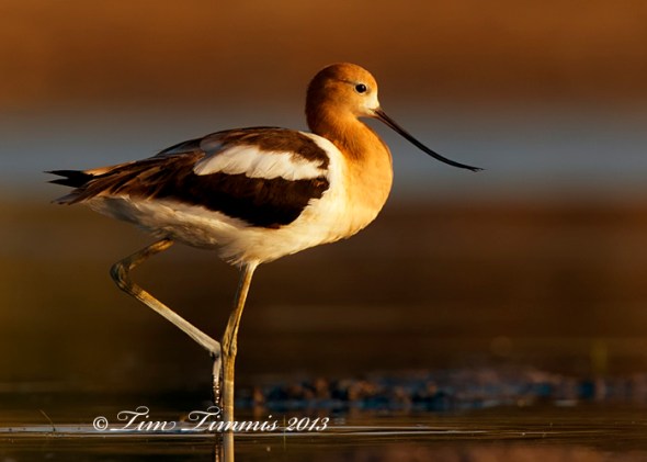 Bryan Beach_07907132013-2