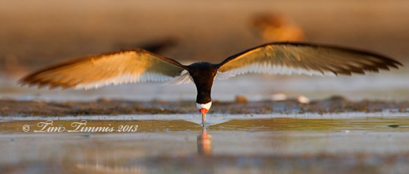 Bryan Beach_15907042013-2