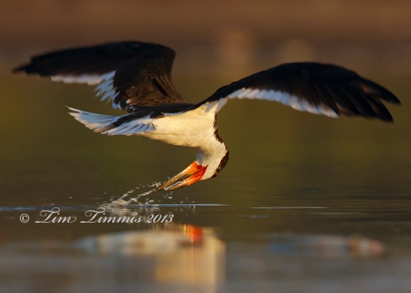 Bryan Beach_32807052013-2