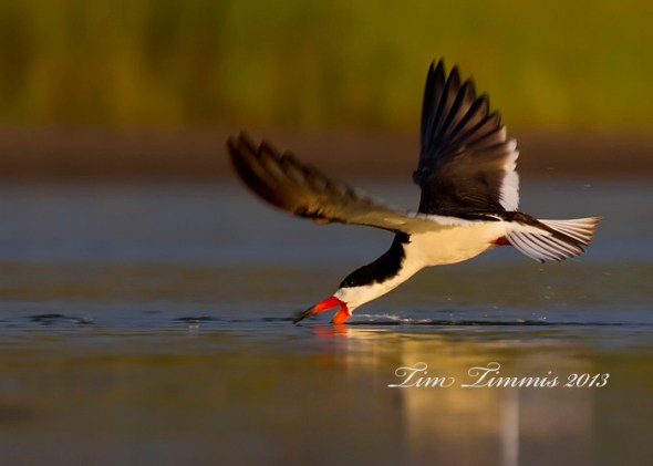 Bryan Beach_52906302013-2