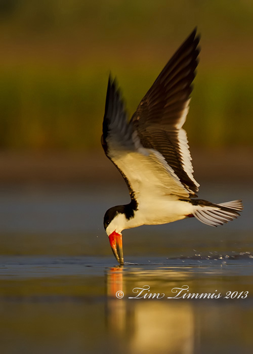 Bryan Beach_53106302013-2