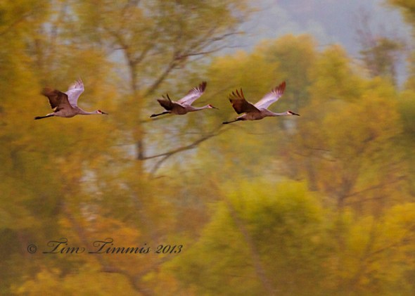 Indiana Trip_07109242013-2