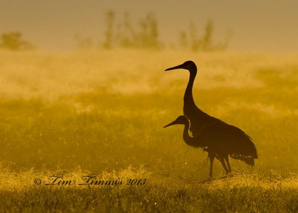 Indiana Trip_27109262013-2