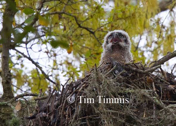 0200Brazos Bend_03142014-2