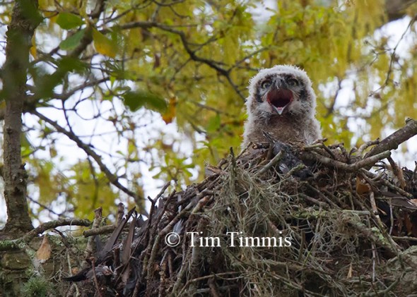 0203Brazos Bend_03142014-2