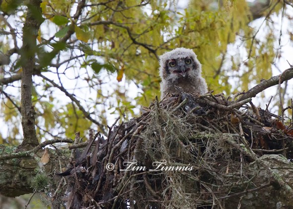 0220Brazos Bend_03142014-2