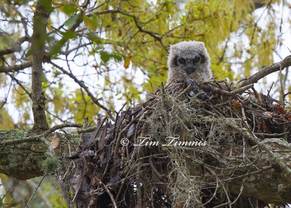 0241Brazos Bend_03142014-2