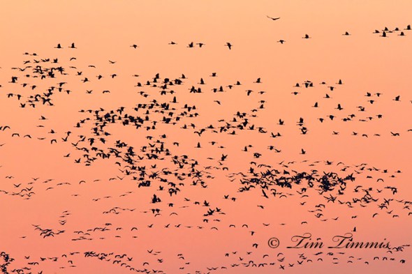 0764Nebraska_03222014-2