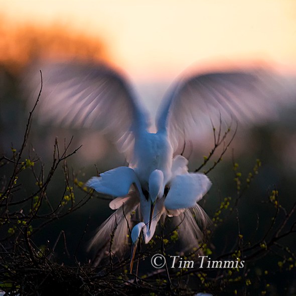 082_High Island_03232015-2