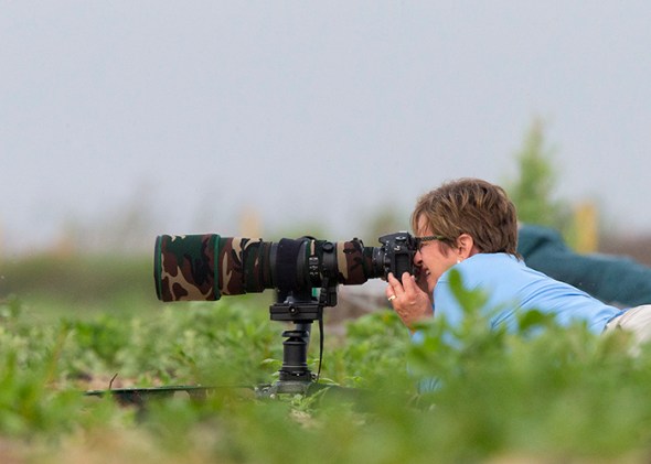 580_Galveston FeatherFest_04102015-2