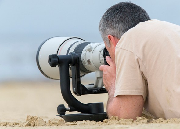 587_Galveston FeatherFest_04102015-2