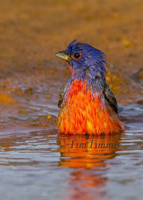 855_Laguna Seca_04182015 (1)-2