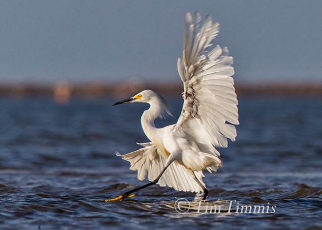 191_Bolivar Flats_08082015a-2b