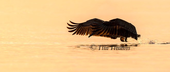 326_Bolivar Flats_09262015-2