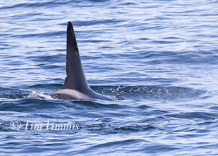 226_Monterey Bay_12122015-2