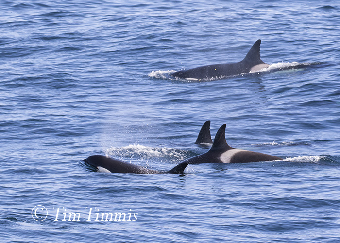 326_Monterey Bay_12122015-2