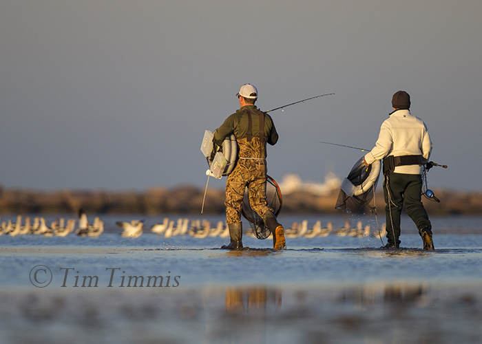 025_Bolivar Flats_03052016-2