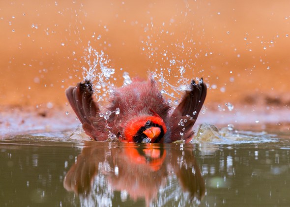 003_Santa Clara_11142015 (1).jpg