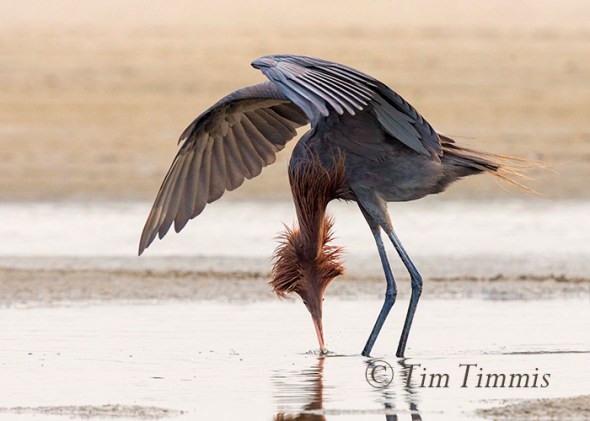 739_Texas City Dike_05142016-2