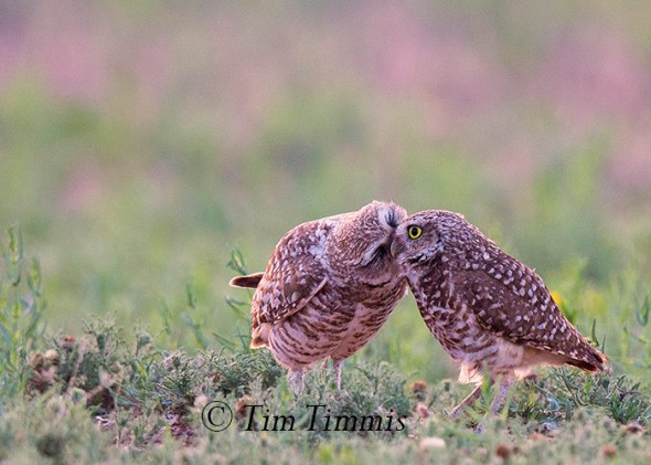 280_Lubbock_05262016-3