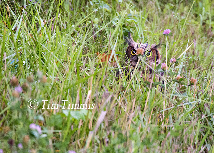 001_Indiana Trip_07292016-2