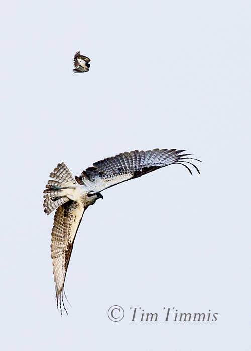 237_Indiana Trip_07282016-2