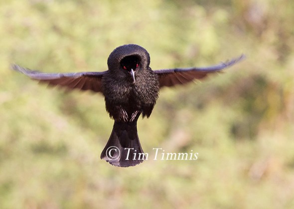 526_Santa Clara_06262016-2