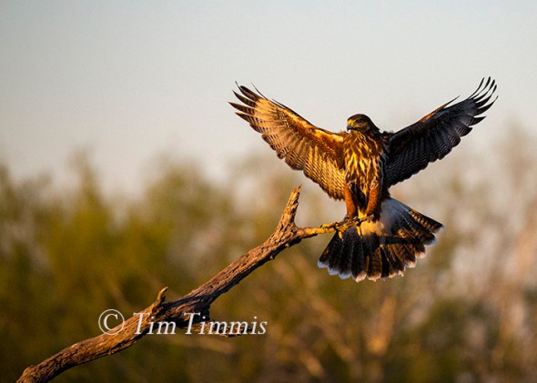 030_santa-clara_11202016-2