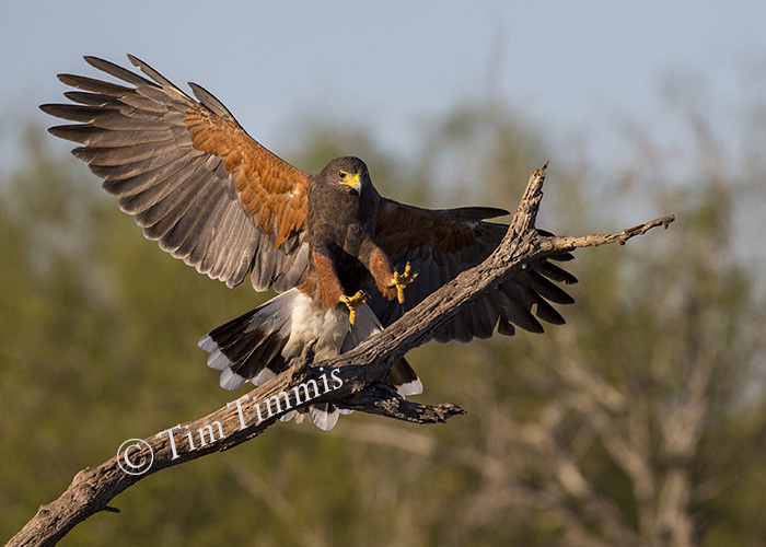 318_santa-clara_11202016-2