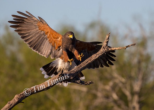 318_santa-clara_11202016-2