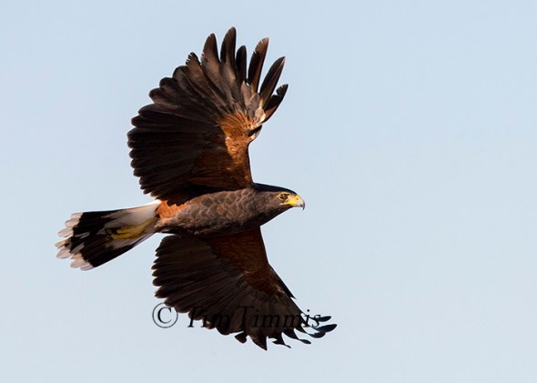 536_santa-clara_11202016-2