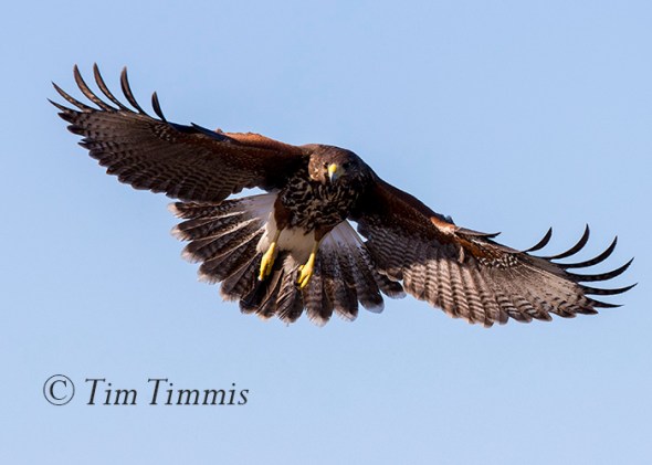 790_santa-clara_11202016-2