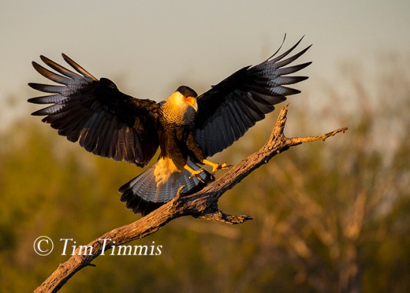 098_santa-clara_11202016-2