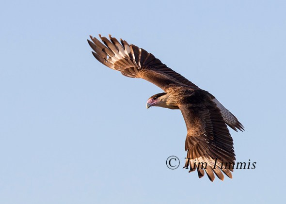 664_santa-clara_11202016-2