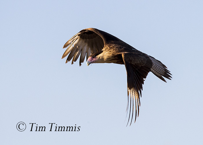 665_santa-clara_11202016-2