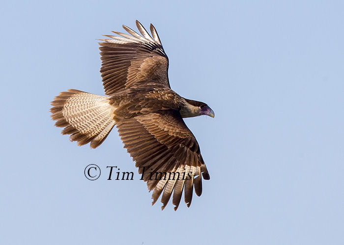 697_santa-clara_11202016-2