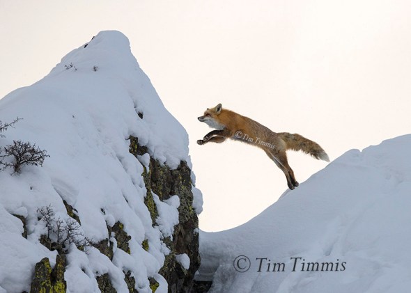922_yellowstone_01202017-2a