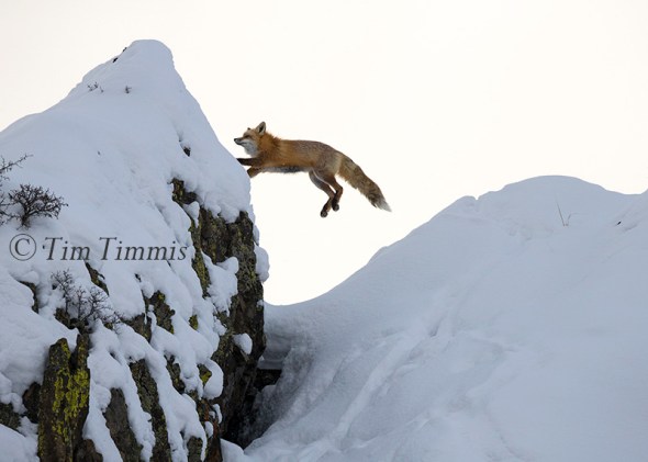 923_yellowstone_01202017-2